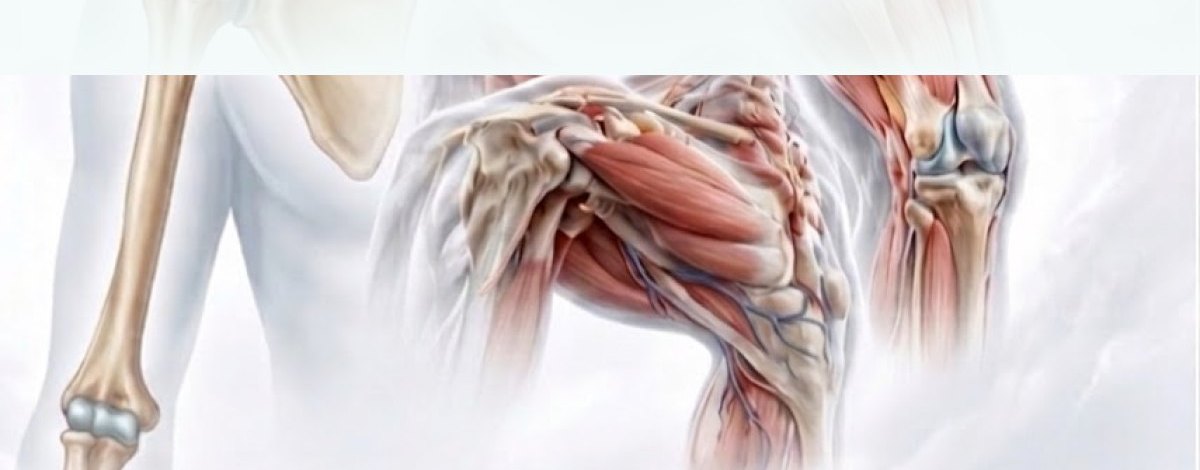 Fizik Tedavi ve Rehabilitasyon